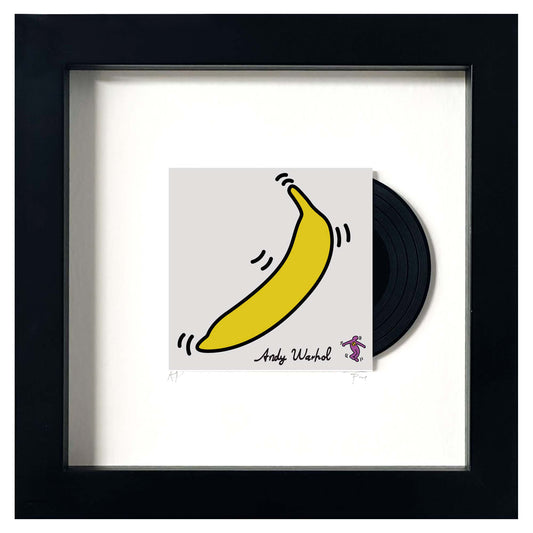 Velvet Underground mini album